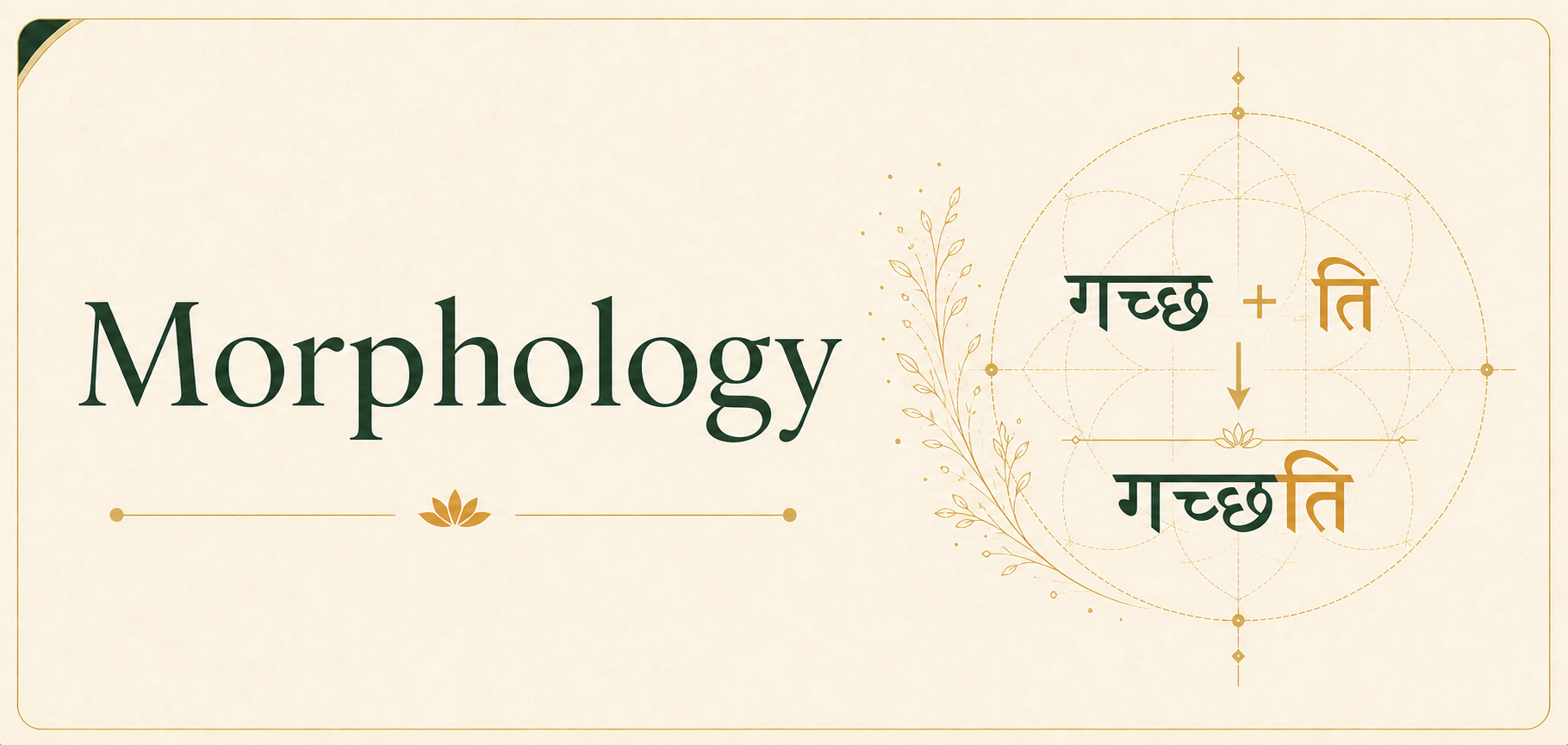 Morphology title with a Sanskrit stem and ending joining to form a word